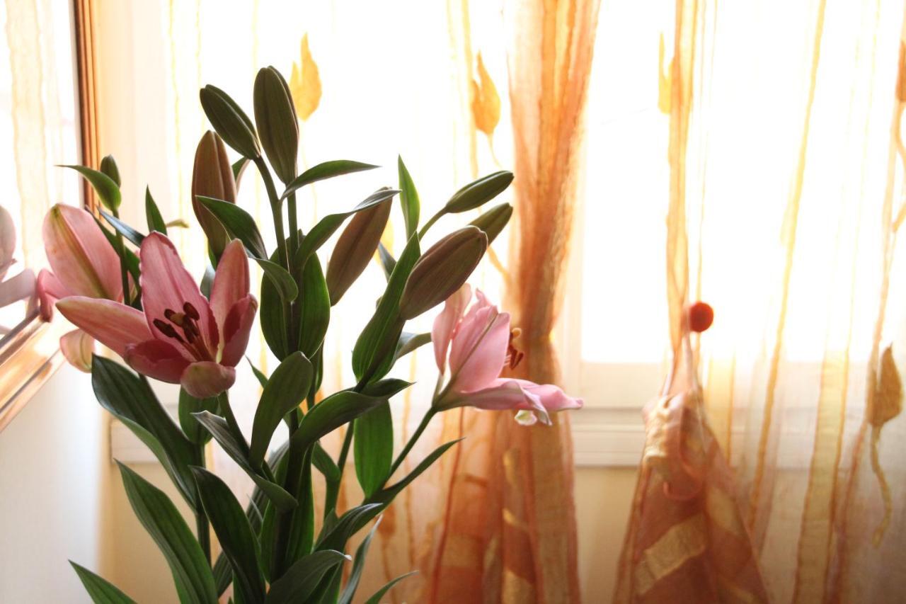 Residence Al Bacareto โมลยาโน เวเนโต ภายนอก รูปภาพ